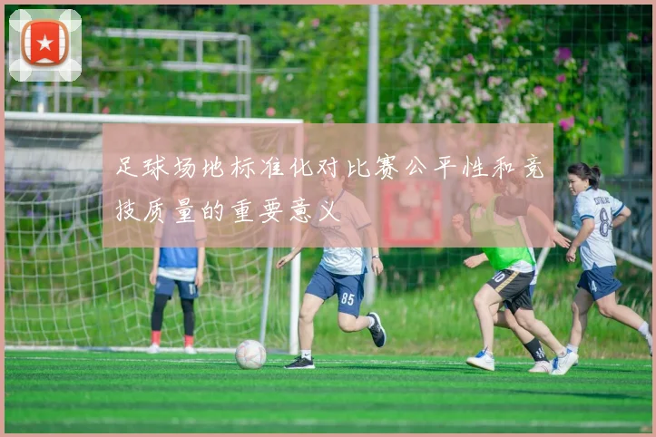 足球场地标准化对比赛公平性和竞技质量的重要意义