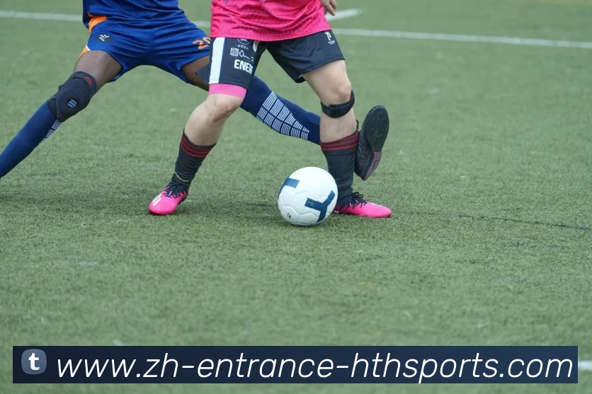 多媒体互动体验